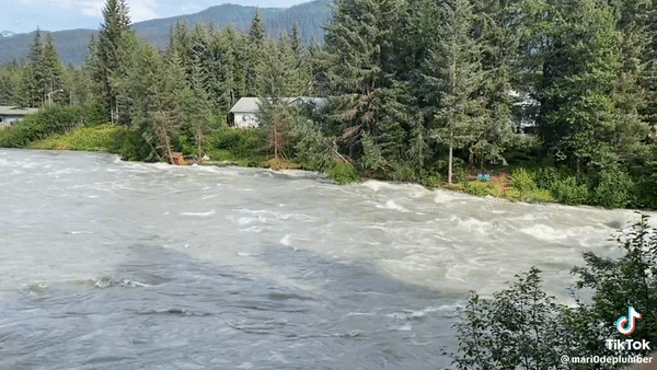 알래스카주 주노시 멘덴홀 호수가 불어나면서 강변에 있는 나무들이 무너져내리는 모습.  틱톡