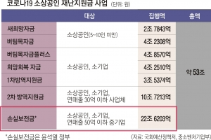 [단독] 감사원, ‘文정부’ 소상공인 재난지원금 실태 조사 착수