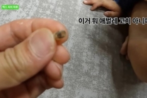 기안84, 양말 ‘구더기’ 나왔다