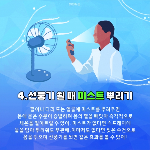가지뉴스