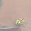 ‘카눈’ 폭우 속 급류에 휩쓸린 60대 구한 경찰