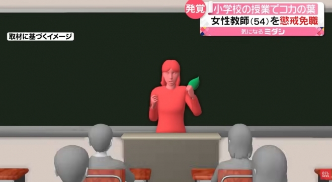 사쿠라이 미카 교사가 코카나무 잎을 담임 학급 학생들에게 보여주는 장면을 재구성한 TV 보도 화면. 닛폰TV 방송 화면 캡처