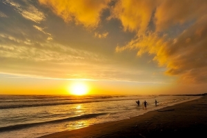 “낯 뜨거운 서핑”…바다 위 ‘꿈틀’ 남녀 애정행각 눈살