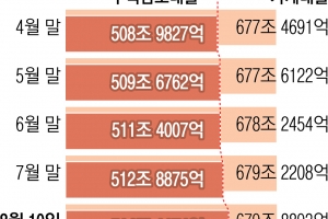 ‘50년 만기 주담대’ 폭증… 한 달 새 1조 넘자 연령제한 검토