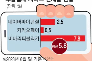 신용 낮아도 ‘디지털 외상’… 빅테크 3사 후불결제 연체 비상