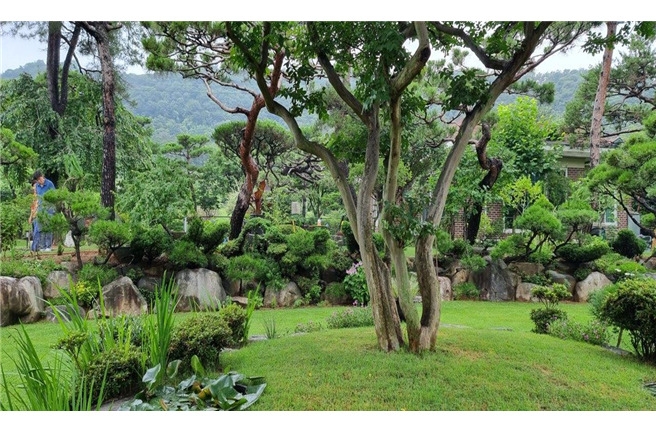 예쁜정원 콘테스트 대상- 장성 초원정원 전경