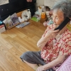 양천구, 고독사 예방 ‘AI 안부 확인 서비스’ 확대
