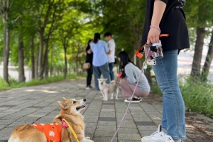 반려동물 생애주기별 맞춤교육…서울 반려동물 시민학교