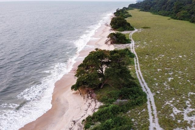 가봉 퐁가라 국립공원의 한 해변. 국제자연보호협회·AP 연합뉴스