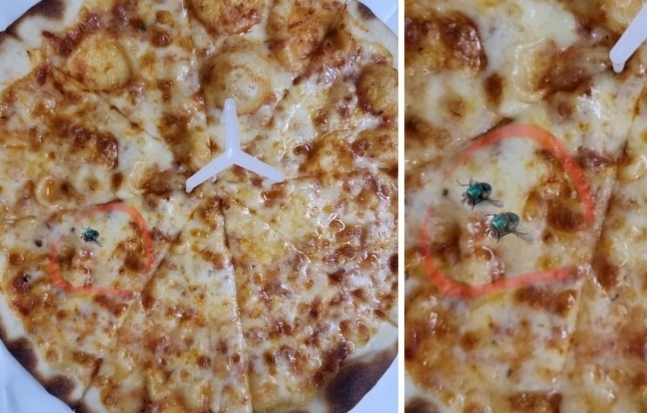 고객이 피자에서 파리가 나왔다며 보낸 사진(왼쪽)·합성한 것을 밝혀낸 네티즌이 게시한 사진(오른쪽). 온라인 커뮤니티 캡처