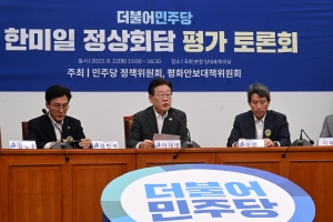 더불어 민주당, ‘한미일 정상회담’ 평가 토론회[서울포토]