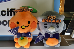 제주 APEC 유치때 생산유발효과 1조 넘는다… 간접효과는 경주보다 4배 높아