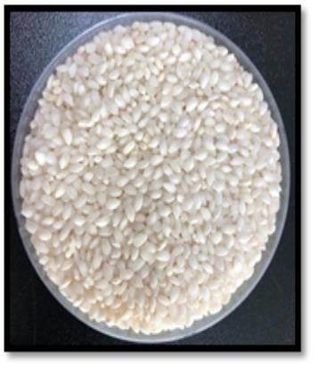 농진청이 개발한 도담쌀(사진)이 당뇨 예방에 효과가 있는 것으로 나타났다.