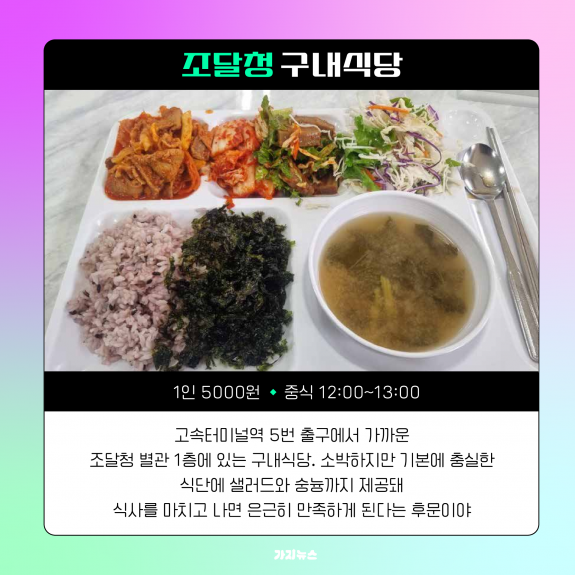 가지뉴스