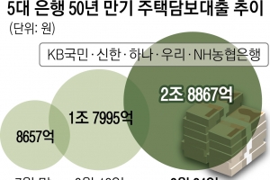 규제 시행 전 “막차 타자”… 50년 만기 주담대, 한 달 새 2조 급증