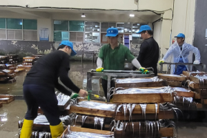 10만원 세트 옥돔이 7만원이라고?… 청정 제주수산물 할인 ‘오픈런’ 기대감