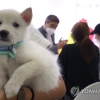 반려동물과 함께하는 울산관광… 동반 탑승 관광택시 운행