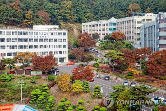 31일 폐교한 경남 진주시 한국국제대학교. 연합뉴스
