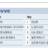 OTT 분야별 TOP5