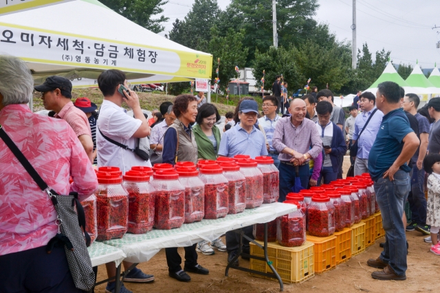 문경오미자축제 인기 프로그램인 즉석 오미자청 담그기 행사가 열리고 있다. 문경시 제공