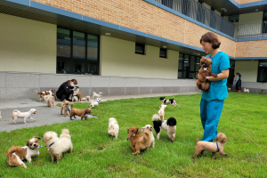 [르포]“고마운지 계속 울어요”…생지옥 ‘화성 번식장’ 구조견 보호하는 경기반려마루