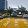 “교통약자 배려”…강릉시, 어르신·임산부 주차구역 운영