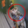 “경찰·소방관 때려”…침대 묶여 이송된 만취男, 민주당 의원 비서관이었다