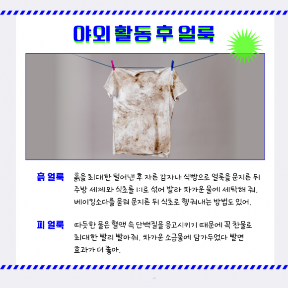 가지뉴스