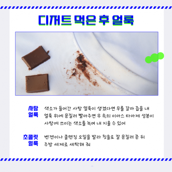 가지뉴스