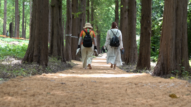 서울 마포구 하늘공원 내 소곤소곤 길. 2023.9.8  마포구 제공
