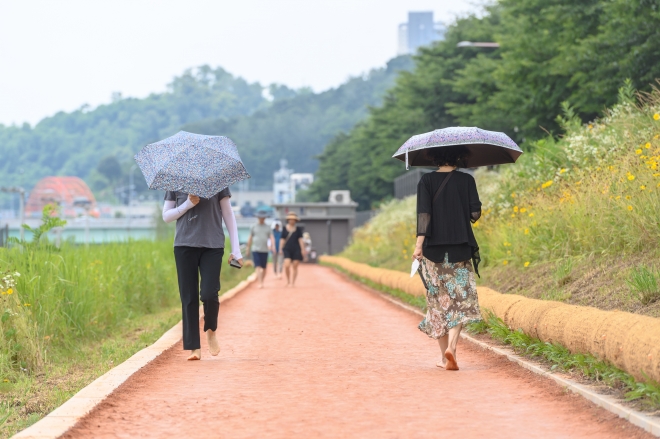 서울 양천구 안양천에 조성된 황톳길. 2023.9.8 양천구 제공