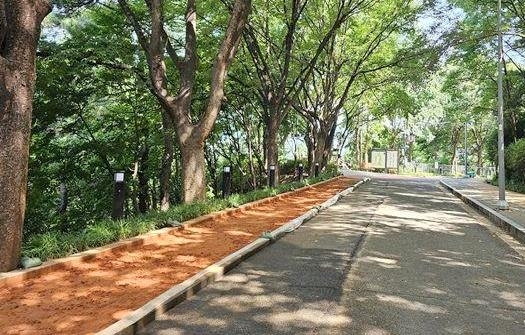 지난달 개방한 서울시 서대문구 안산 황톳길. 2023.9.8  서대문구 제공