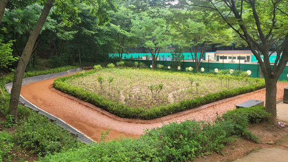 서울 강서구 내발산동 수명산근린공원 황톳길. 2023.9.8  강서구 제공