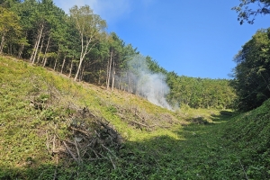 삼척 하장 숙암리 산불…1시간여만에 진화