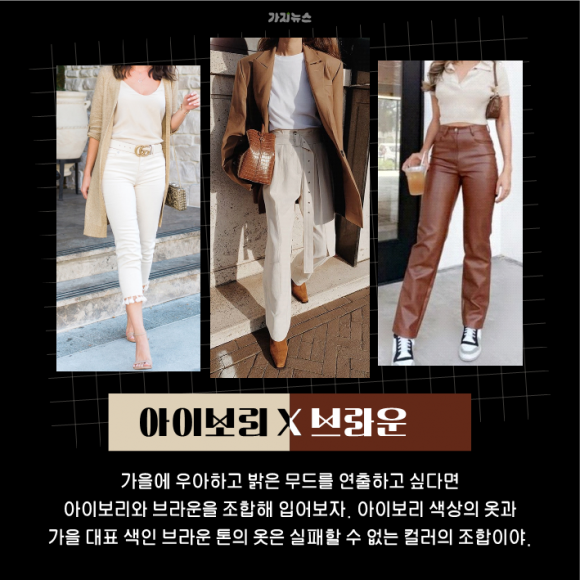 가지뉴스