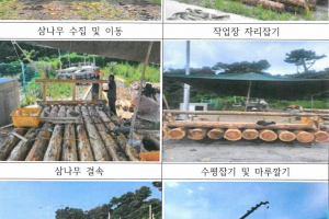 무사고를 용왕님께 비나이다… 쇠소깍서 제주 뗏목 ‘테우’ 타봐요