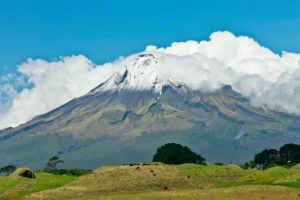 뉴질랜드 산 600m 비탈 굴러떨어지고도 가벼운 상처만 ‘기적의 생환’