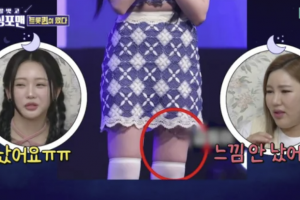 트로트 女가수 치마 속으로 ‘꼽등이’가…충격 영상
