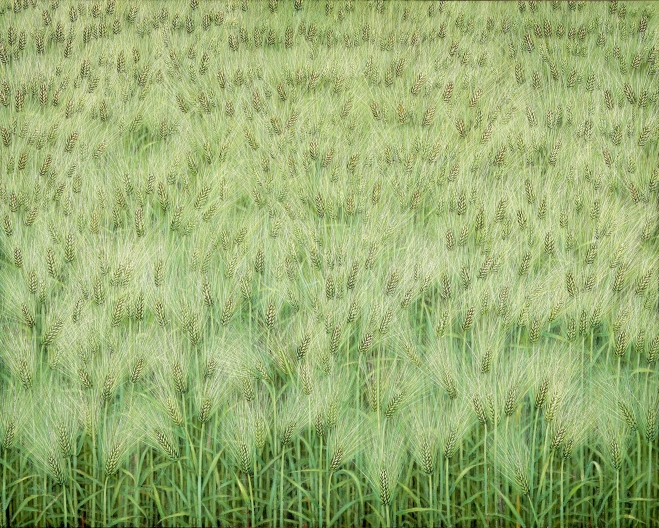 이숙자 청보리 벌판 Blue Barley Field 2021-2023, 227.3x181.8cm 순지5배접, 암채 Stone color on Korean paper