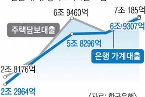 주담대 한 달 만에 7조 폭증… 가계대출 1075조 사상 최대