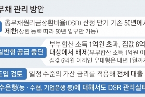 주담대 제한에 스트레스 DSR까지… ‘규제 우회’ 꼼수 막혔다