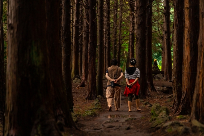 소산오름 편백나무 숲길에서 어싱(맨발걷기)하는 탐방객의 모습. 제주관광공사 제공