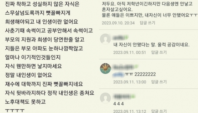 맘카페에서 높은 공감을 얻은 ‘자식 낳지 마세요’ 글과 댓글 일부