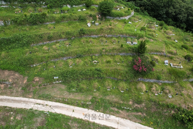 지난달 8일 포항공원묘원을 위에서 바라본 모습. 무연고 묘지와 유연고 묘지가 뒤섞여 있다. 공원은 재정난으로 인해 올해부터 무연고 묘지 벌초를 중단했다. 포항 오장환 기자