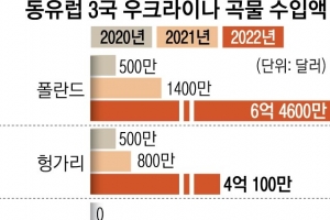 동유럽 3국 “우크라산 곡물 직접 수입 금지 계속”… EU와 공조 삐걱