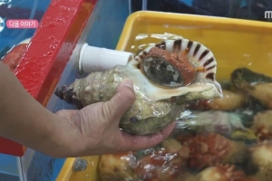 ‘나혼산’서 포착된 ‘멸종위기종’…울릉도 횟집서 버젓이 판매됐다