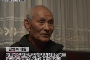 70년간 독도경비대원 괴롭힌 곤충, 정체 밝혀졌다