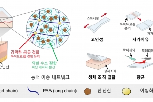 신체 어느 부위나 완벽하게 지혈 가능한 물질 개발