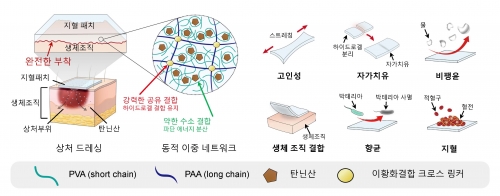 지혈 하이드로겔 패치 원리