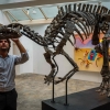 예상가 17억원…1억 5000만년 전 공룡 화석 ‘배리’ 경매